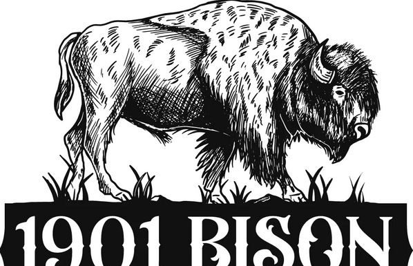 Discover Texas Fresh Bison Meat: A Nutritious and Delicious Choice