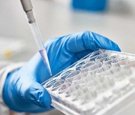 parasitology-research