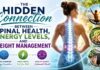 The Hidden Connection Between Spinal Health, Energy Levels, and Weight Management